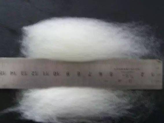 化纤世界入门 认识衣物背后的化学纤维基本概念与代号