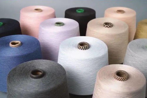 柯桥先行示范之路 瞄准“双碳”目标，加速绿色转型推动共同富裕